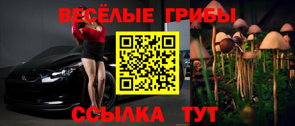Галлюциногенные грибы MAGIC MUSHROOMS Строитель